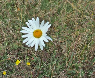 Прикрепленное изображение: DSCF5806a.jpg